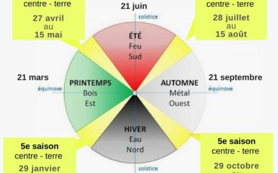 Médecine Chinoise – Les 5 Saisons